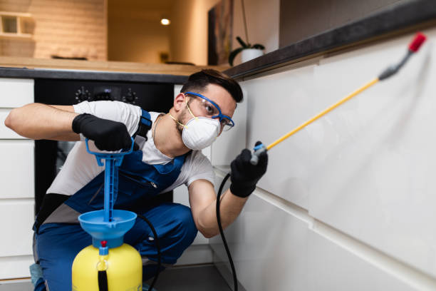 Best Best Pest Control Companies  in Fort Montgomery, NY