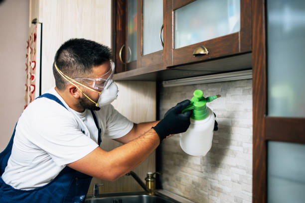 Best Insect Control  in Fort Montgomery, NY