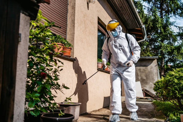 Professional Pest Control in Fort Montgomery, NY