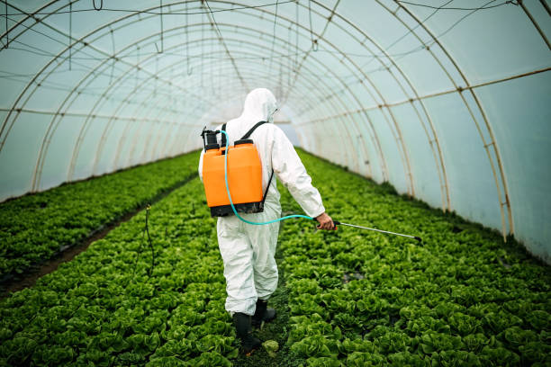 Best Ant Control Services  in Fort Montgomery, NY
