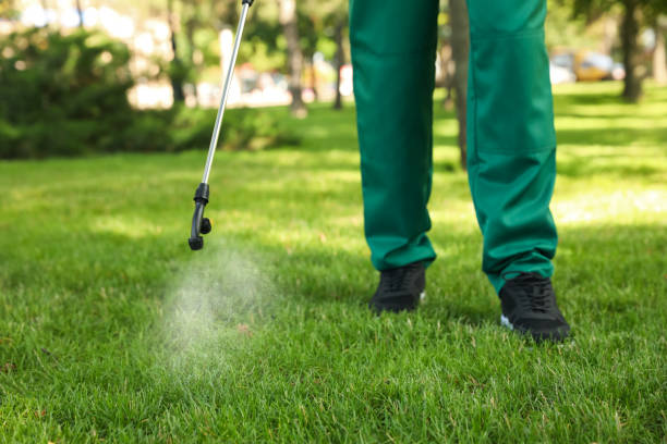 Best Cockroach Control Services  in Fort Montgomery, NY