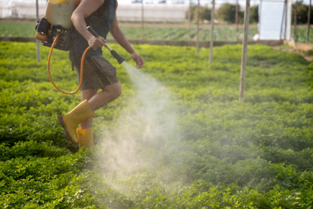 Best Pest Prevention Services  in Fort Montgomery, NY