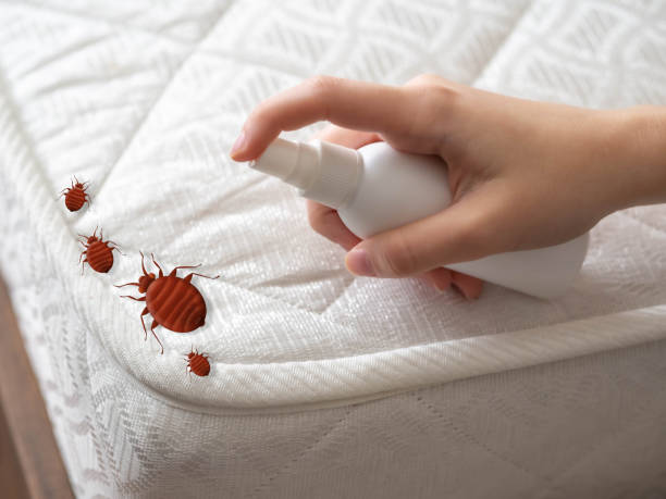Best Exterminator Services  in Fort Montgomery, NY
