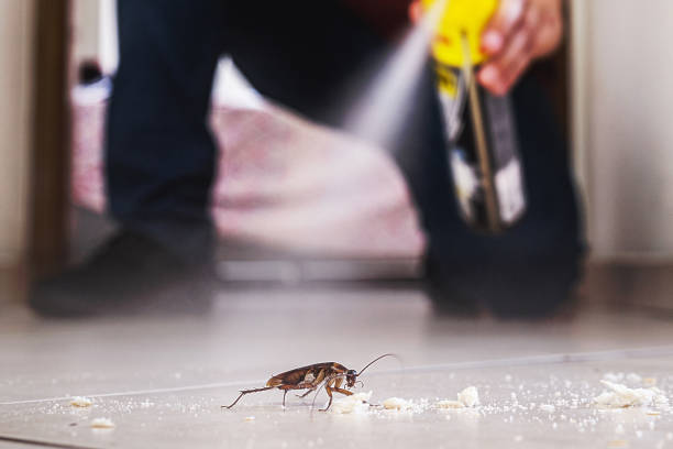 Best Commercial Pest Control Services  in Fort Montgomery, NY