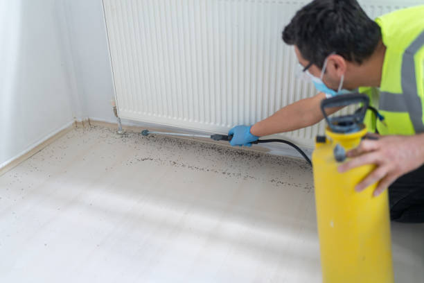 Best Best Pest Control Companies  in Fort Montgomery, NY