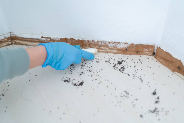 Best Best Pest Control Companies  in Fort Montgomery, NY