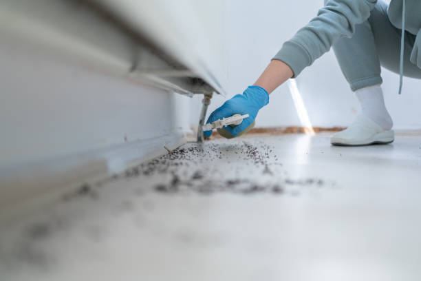 Best Termite Control Services  in Fort Montgomery, NY