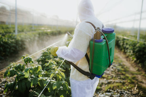 Best Pest Prevention Services  in Fort Montgomery, NY